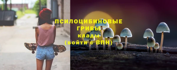 прущий лед Алексин
