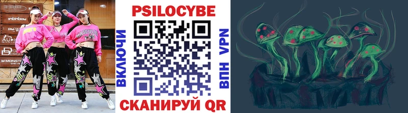 Галлюциногенные грибы Psilocybe  Темников 